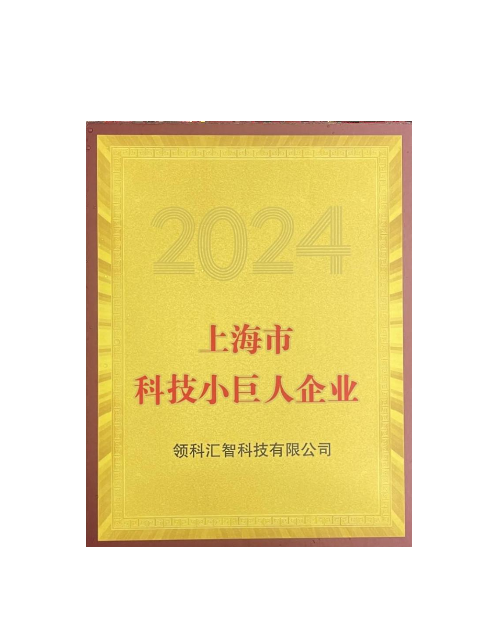 Shanghai Municipal Science and Technology Small Giant Enterprise