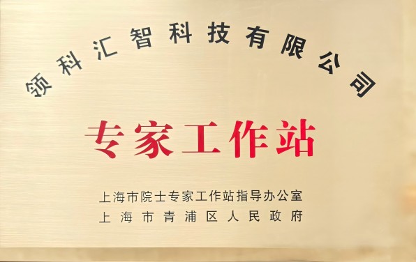 Shanghai Municipal Expert Workstation
